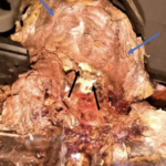 Screenshot 2024-03-16 at 8.40.31 PM